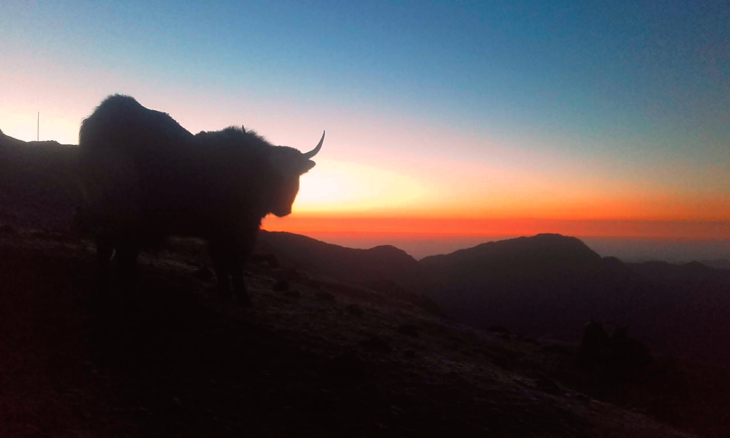 KOPRA RIDGE – ANNAPURNA TREKKING